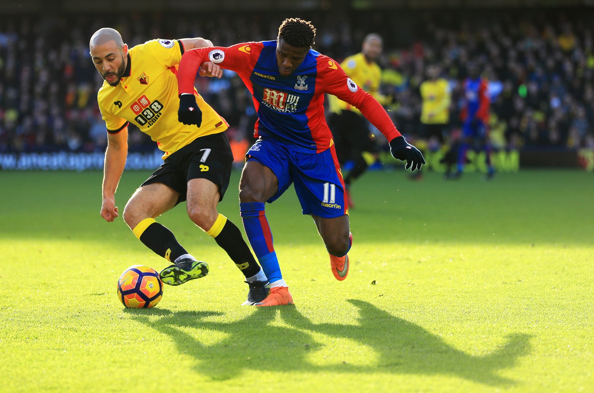 来的娱乐 来的娱乐